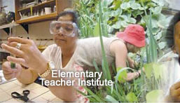 Elementary Teacher Institute
