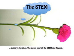 STEMCatalyst-PD-All.013-001