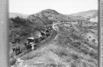 Expedition Passing Mules